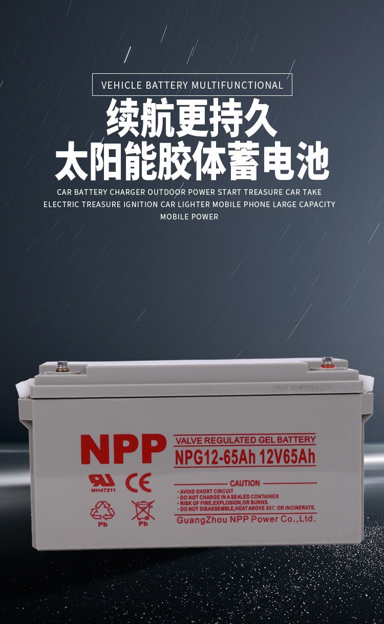 NPP耐普NPG12-65Ah铅酸免维护胶体蓄电池12V65AH NPP耐普NPG12-65Ah铅酸免维护胶体蓄电池12V65AH